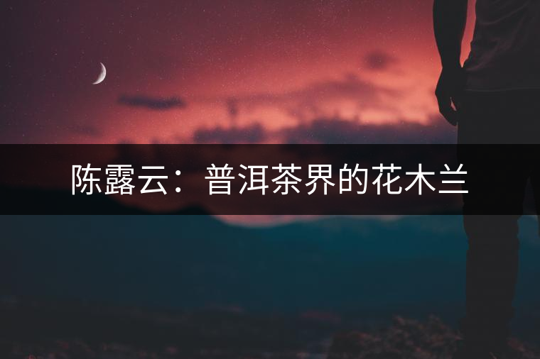 陳露云:普洱茶界的花木蘭 陳露云:普洱茶界的花木蘭