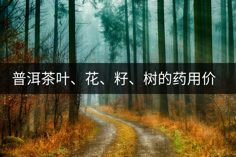 普洱茶葉、花、籽、樹的藥用價值