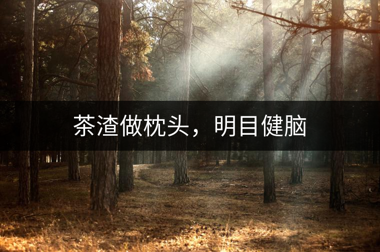 茶渣做枕頭，明目健腦