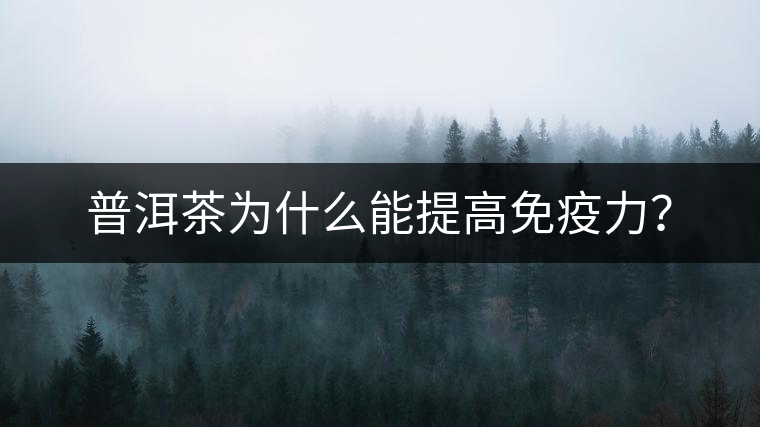 普洱茶為什么能提高免疫力？
