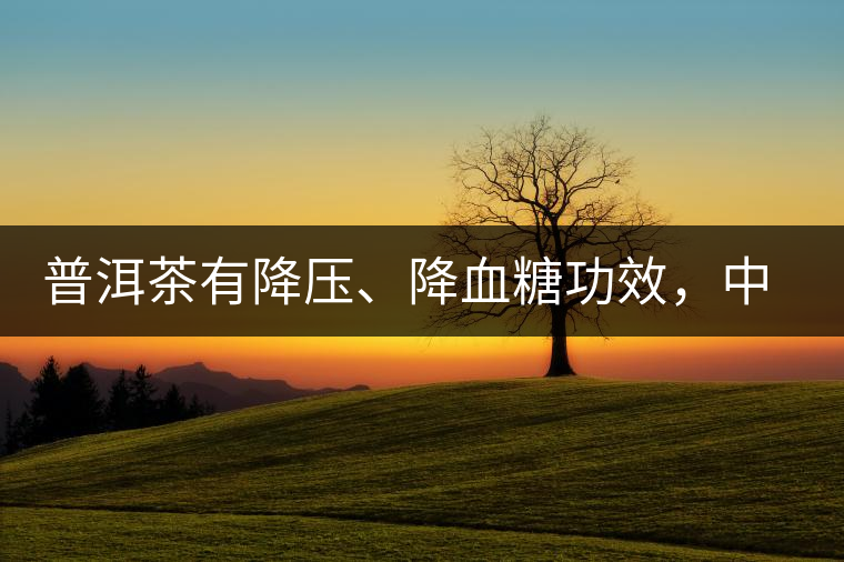 普洱茶有降壓、降血糖功效，中老年人不再懼怕糖尿病