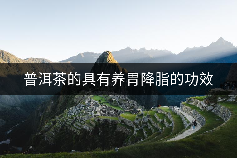 普洱茶的具有養(yǎng)胃降脂的功效 普洱茶的具有養(yǎng)胃降脂的功效