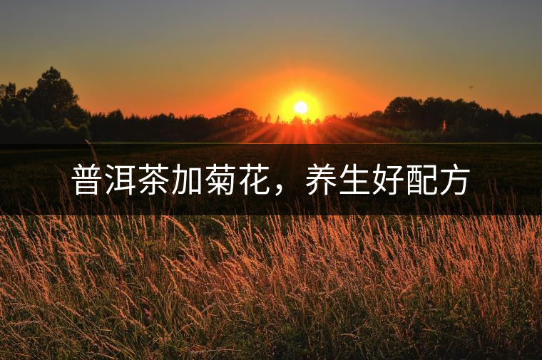 普洱茶加菊花，養(yǎng)生好配方