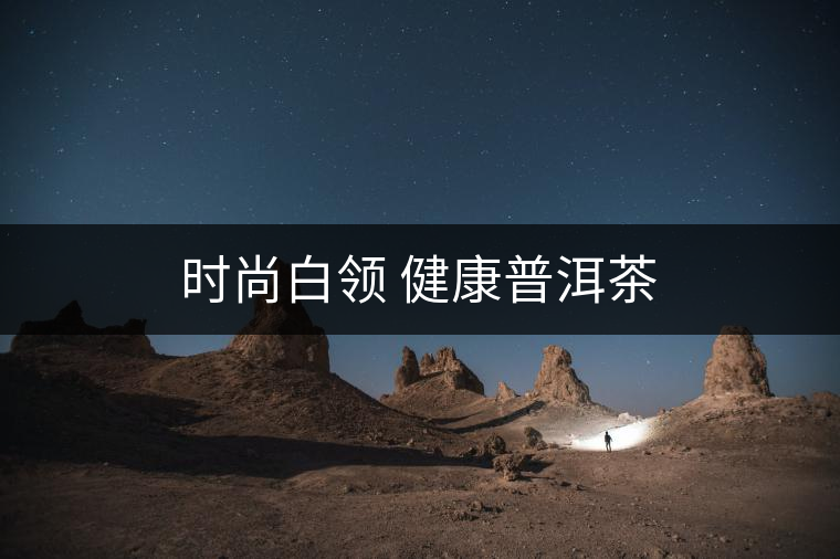 時(shí)尚白領(lǐng) 健康普洱茶 時(shí)尚白領(lǐng) 健康普洱茶