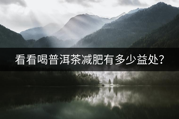 看看喝普洱茶減肥有多少益處？