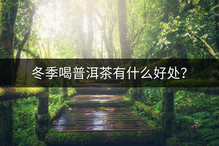 冬季喝普洱茶有什么好處？