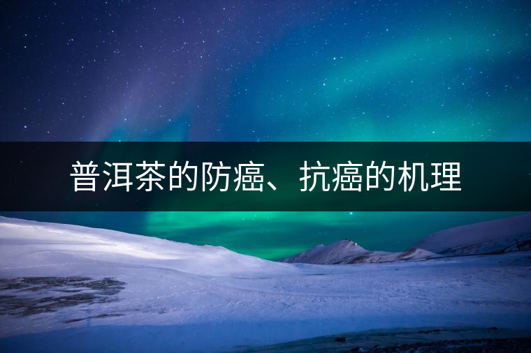 普洱茶的防癌、抗癌的機(jī)理