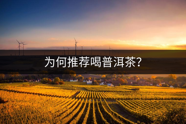 為何推薦喝普洱茶？