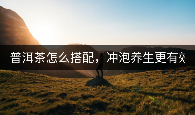 普洱茶怎么搭配，沖泡養(yǎng)生更有效？