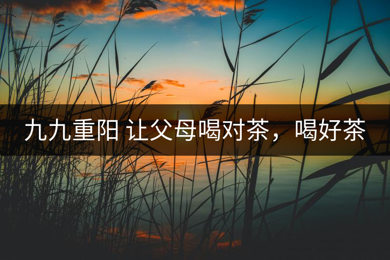九九重陽 讓父母喝對茶，喝好茶