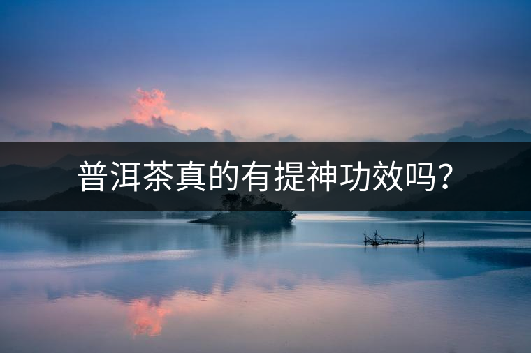 普洱茶真的有提神功效嗎？