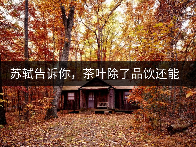 蘇軾告訴你，茶葉除了品飲還能做什么？