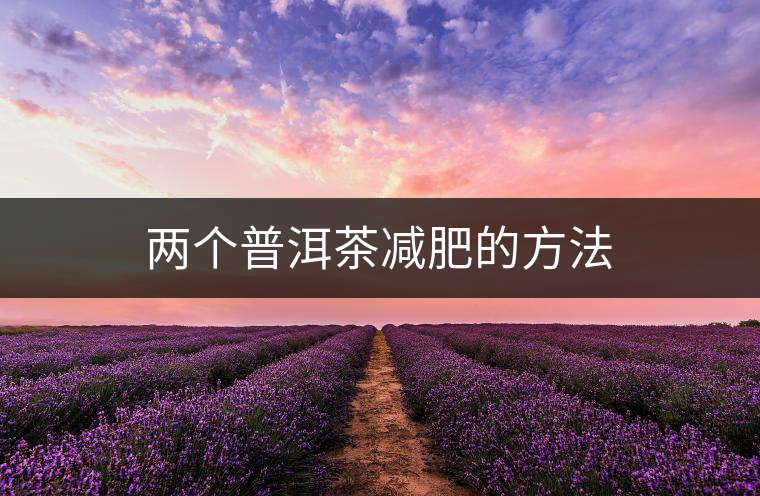 兩個普洱茶減肥的方法