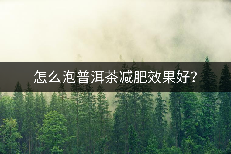 怎么泡普洱茶減肥效果好？