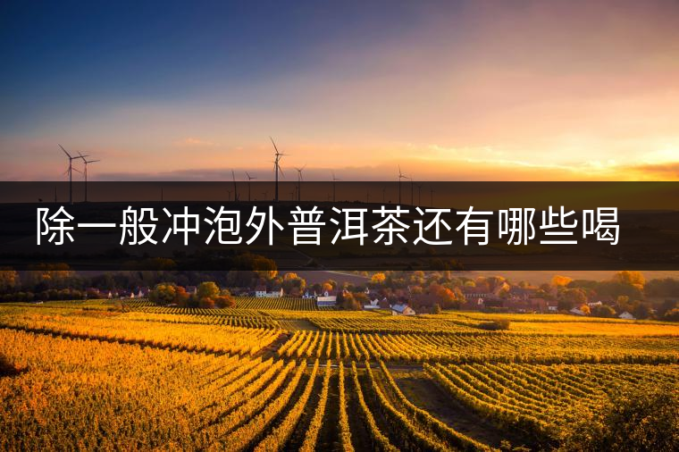 除一般沖泡外普洱茶還有哪些喝法？