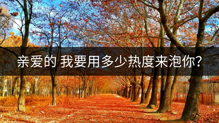 親愛的 我要用多少熱度來泡你？