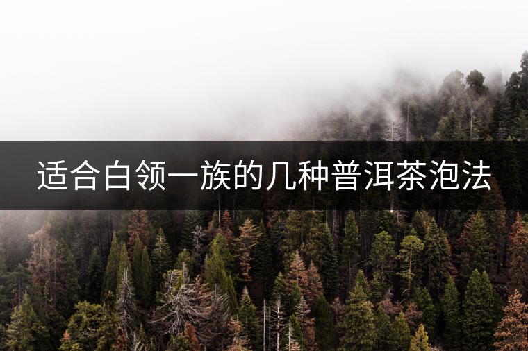 適合白領一族的幾種普洱茶泡法 適合白領一族的幾種普洱茶泡法