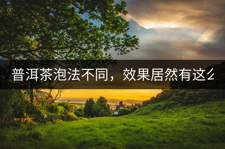 普洱茶泡法不同，效果居然有這么大區(qū)別！