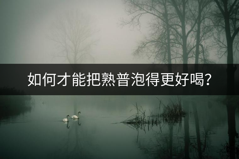 如何才能把熟普泡得更好喝？