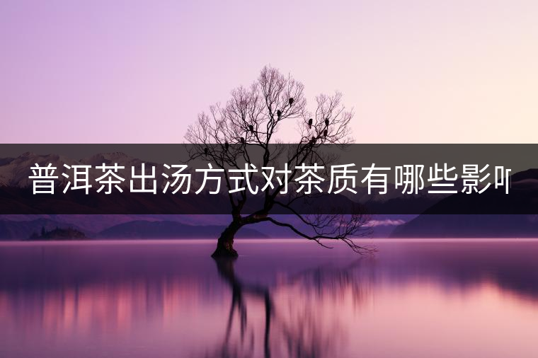 普洱茶出湯方式對茶質有哪些影響？