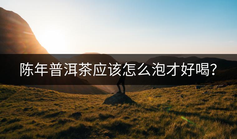 陳年普洱茶應(yīng)該怎么泡才好喝？