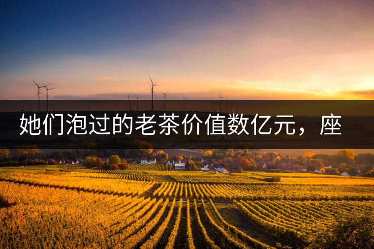 她們泡過(guò)的老茶價(jià)值數(shù)億元，座上賓是余秋雨、李云迪……