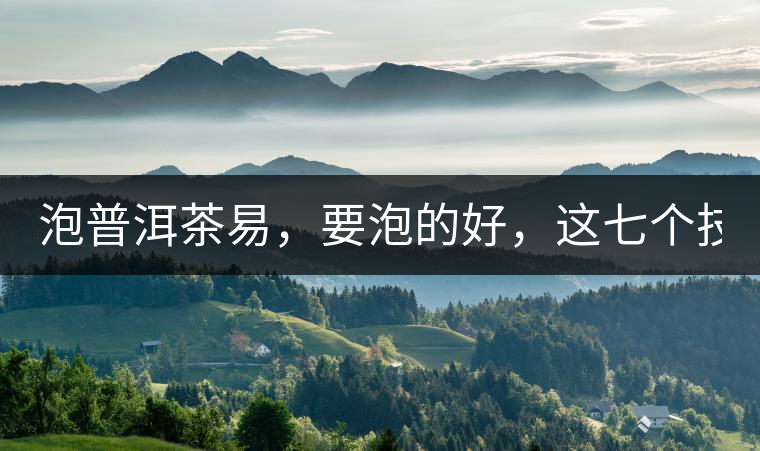 泡普洱茶易，要泡的好，這七個(gè)技巧很重要！