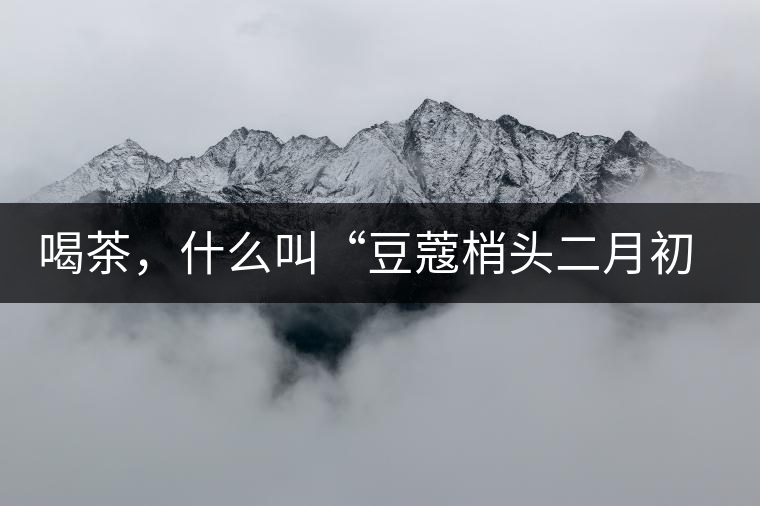 喝茶，什么叫“豆蔻梢頭二月初”？