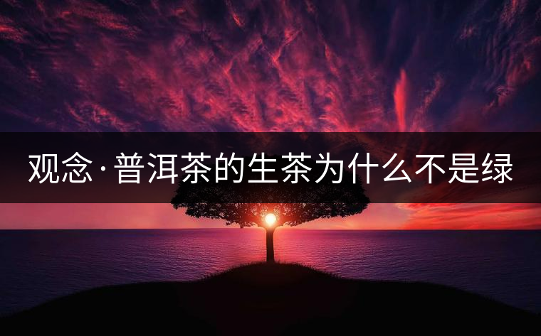 觀念·普洱茶的生茶為什么不是綠茶？