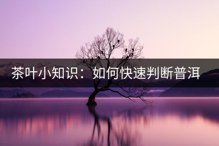 茶葉小知識：如何快速判斷普洱茶品級高低？