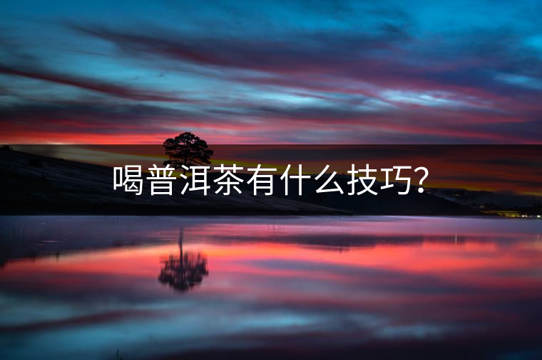 喝普洱茶有什么技巧？
