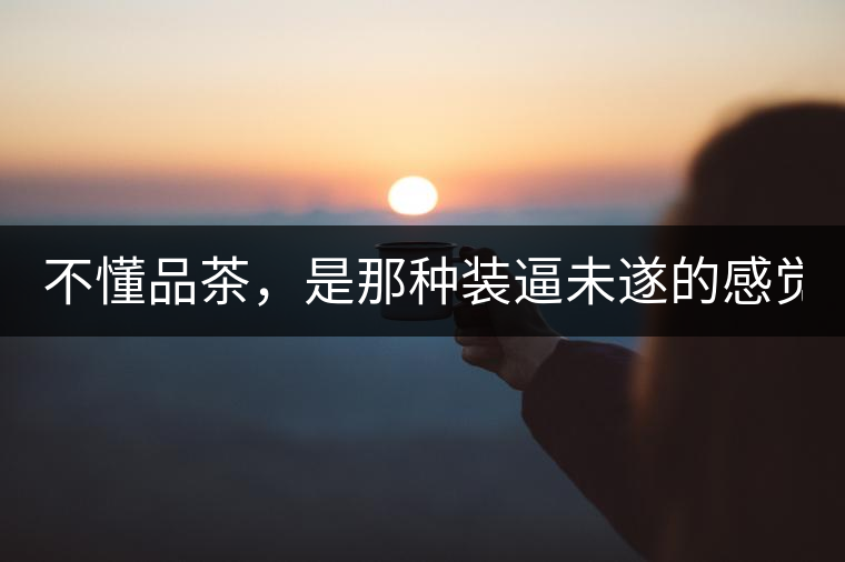 不懂品茶，是那種裝逼未遂的感覺？