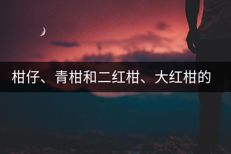 柑仔、青柑和二紅柑、大紅柑的區(qū)別，你可知道？