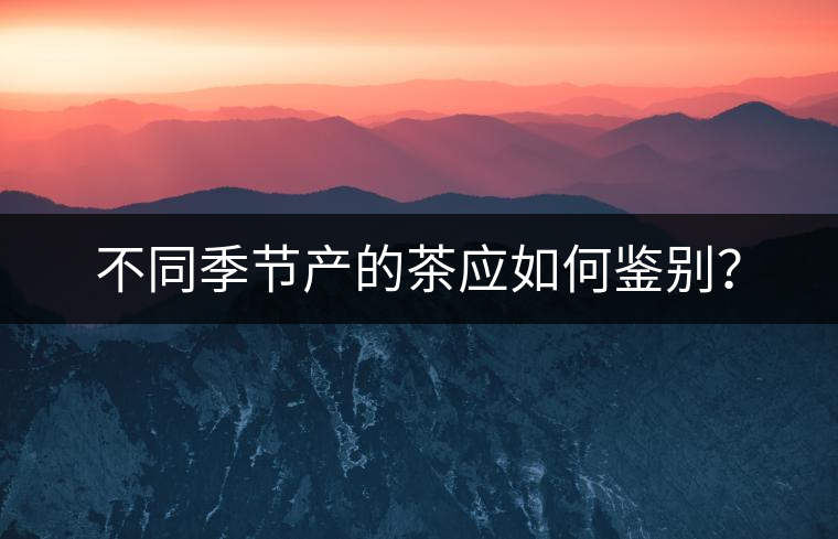 不同季節(jié)產(chǎn)的茶應(yīng)如何鑒別？