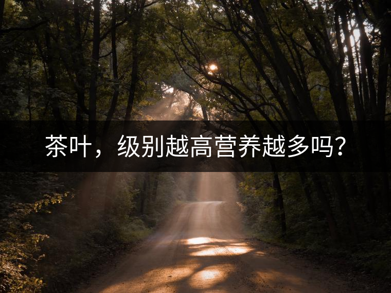 茶葉，級(jí)別越高營(yíng)養(yǎng)越多嗎？