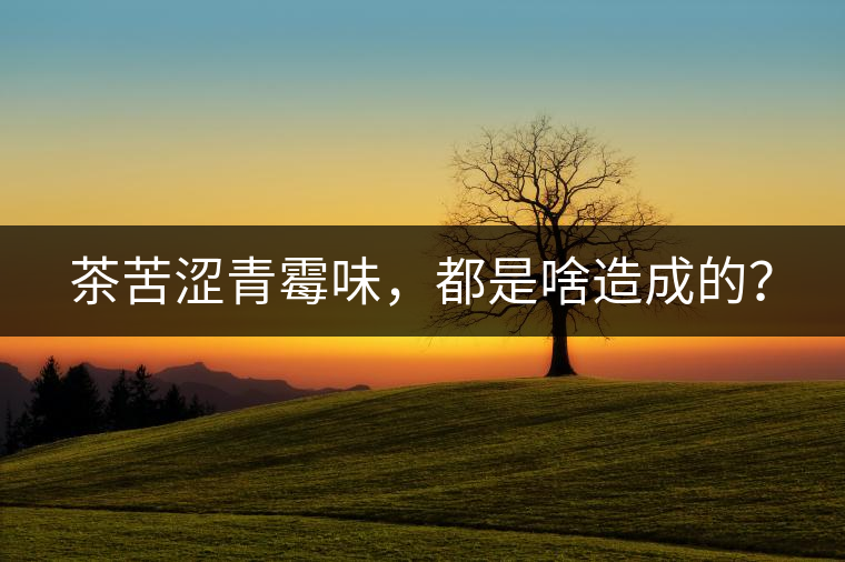 茶苦澀青霉味，都是啥造成的？