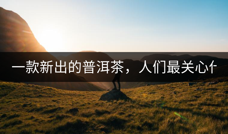 一款新出的普洱茶，人們最關(guān)心什么?