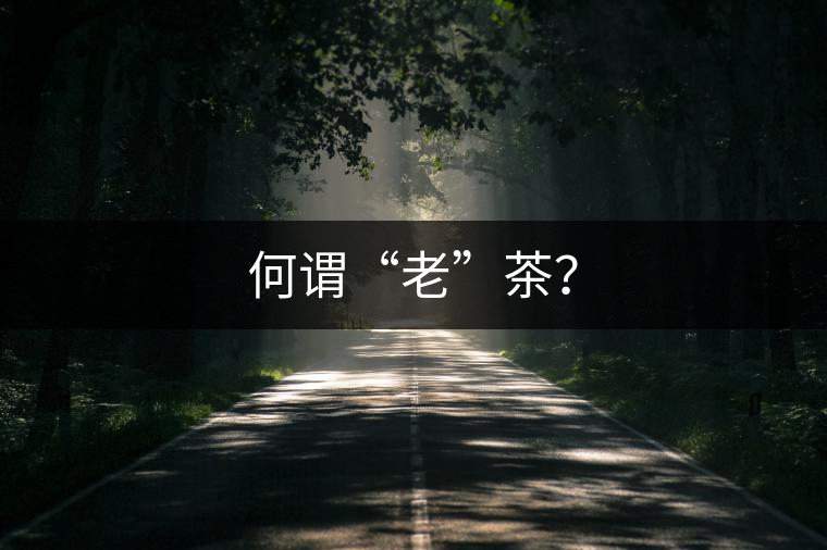 何謂“老”茶? 何謂“老”茶?