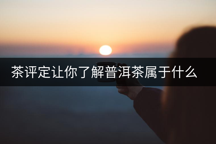 茶評定讓你了解普洱茶屬于什么茶系？