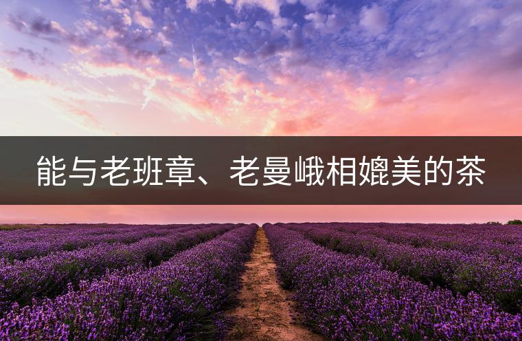 能與老班章、老曼峨相媲美的茶