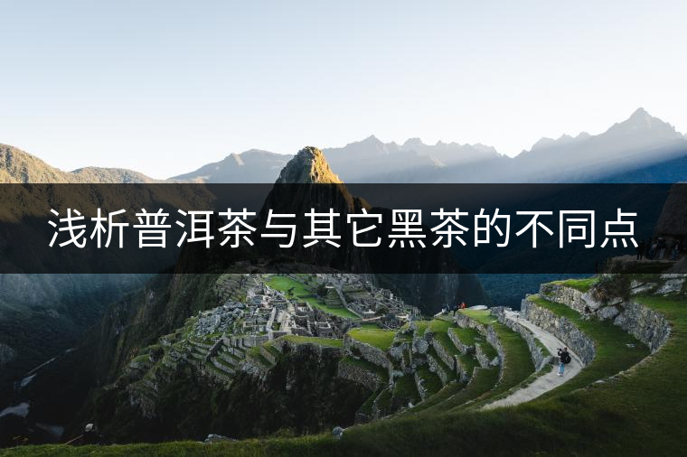 淺析普洱茶與其它黑茶的不同點(diǎn) 淺析普洱茶與其它黑茶的不同點(diǎn)