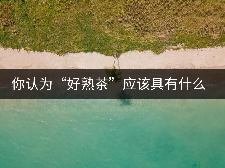 你認(rèn)為“好熟茶”應(yīng)該具有什么樣的標(biāo)準(zhǔn)？