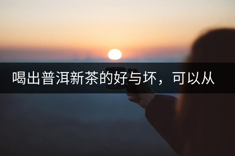 喝出普洱新茶的好與壞，可以從這五點(diǎn)出發(fā)
