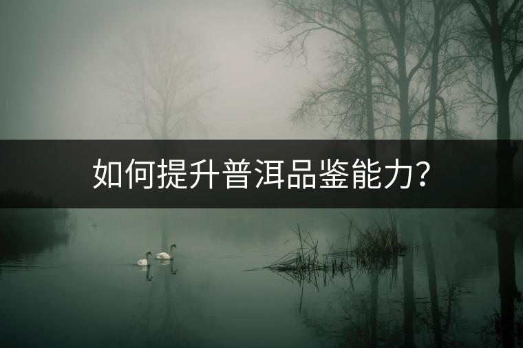 如何提升普洱品鑒能力？