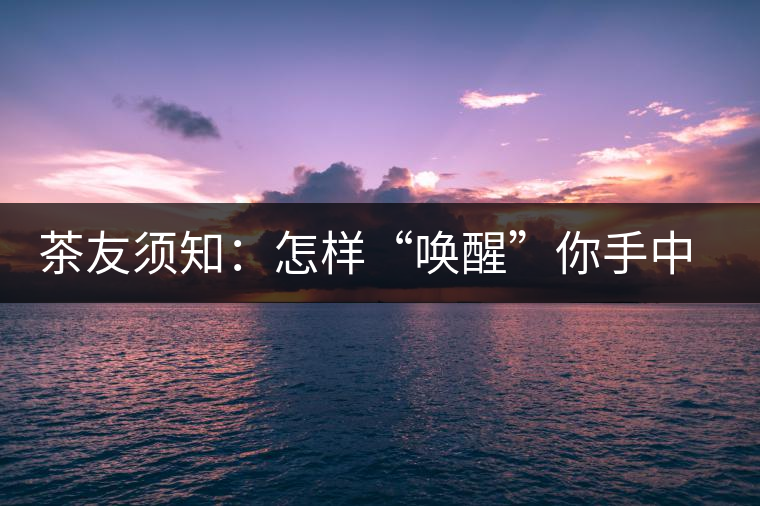 茶友須知：怎樣“喚醒”你手中的那一餅普洱茶？