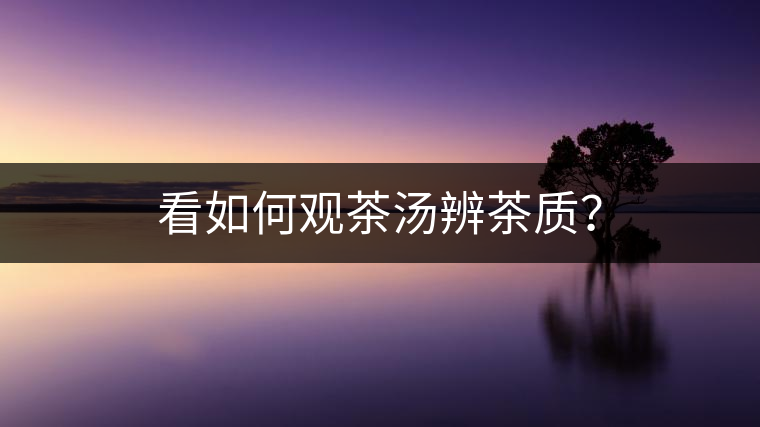 看如何觀茶湯辨茶質(zhì)？