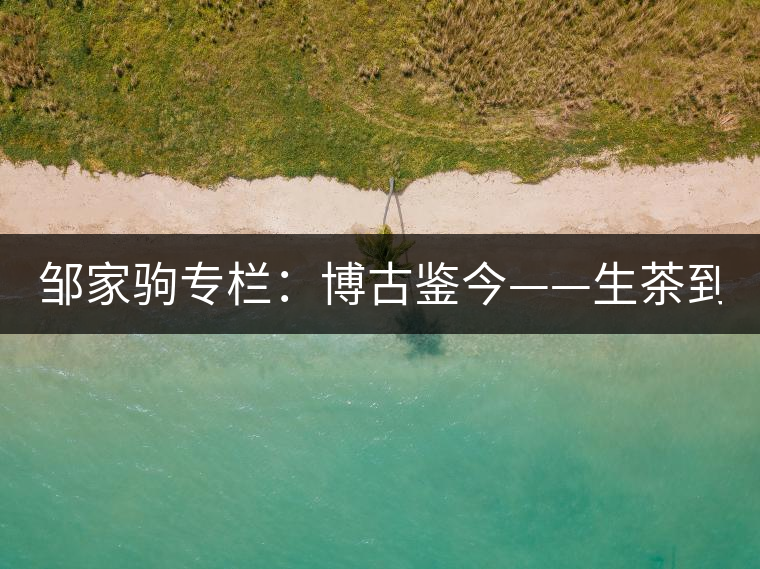 鄒家駒專欄：博古鑒今——生茶到底是不是普洱茶？