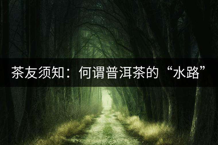 茶友須知:何謂普洱茶的“水路”? 茶友須知:何謂普洱茶的“水路”?