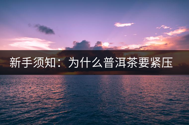 新手須知：為什么普洱茶要緊壓而不散存？