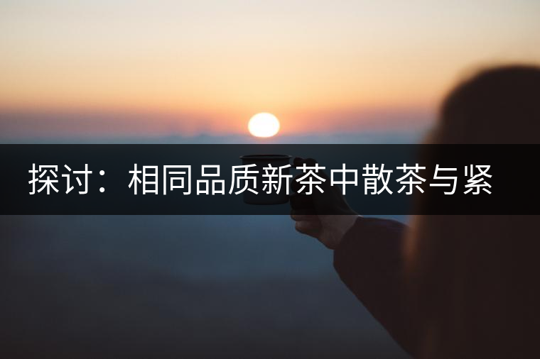 探討：相同品質(zhì)新茶中散茶與緊壓茶哪個(gè)好？